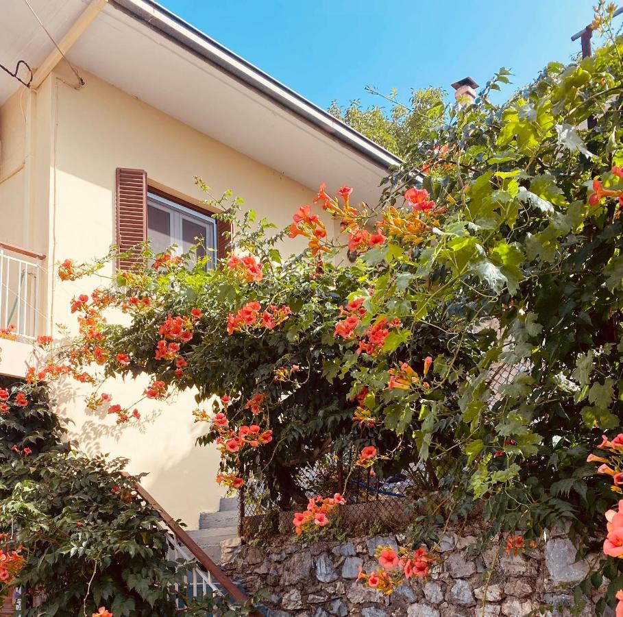 Appartement Ortansia à Dimitsana Extérieur photo
